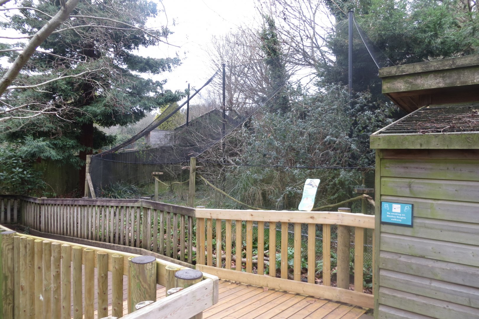 Monkey Heights - Emperor tamarin exhibit 050119