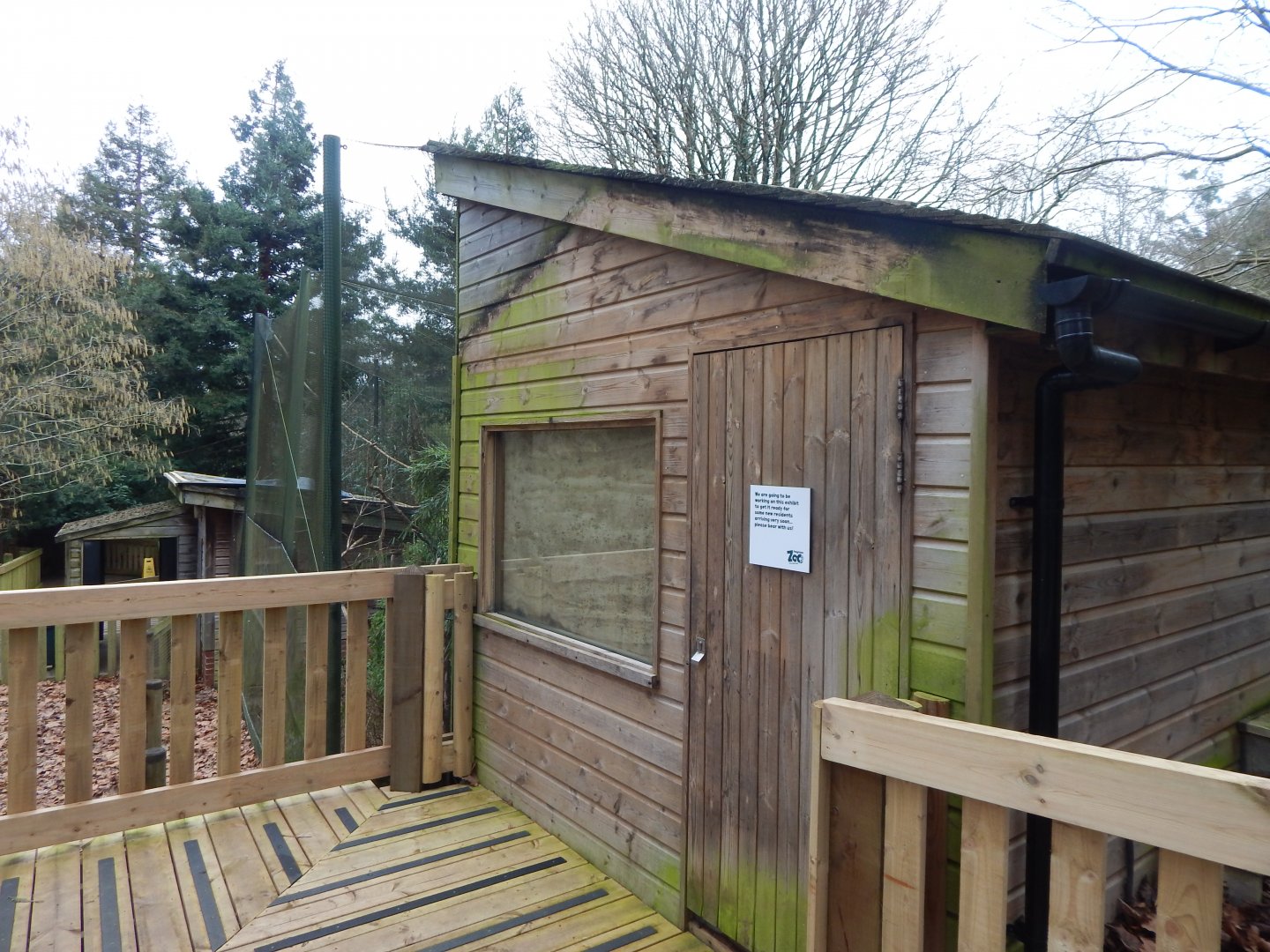 Monkey Heights - Enclosure in preparation for new arrivals 050224