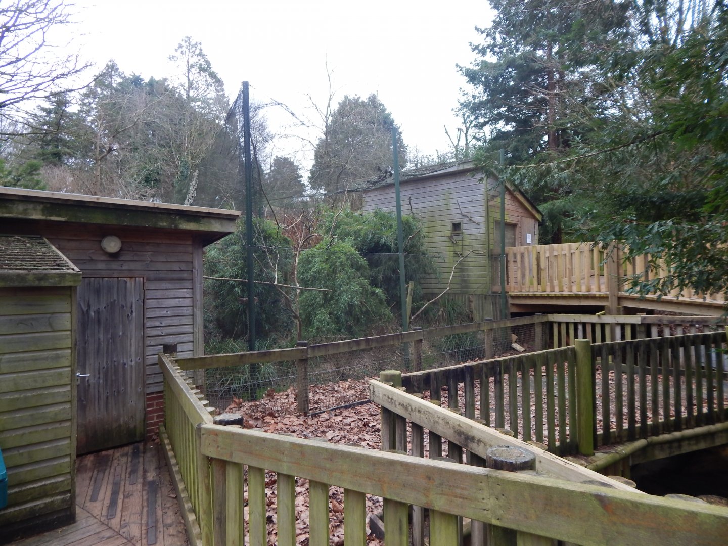 Monkey Heights - Enclosure in preparation for new arrivals 050224
