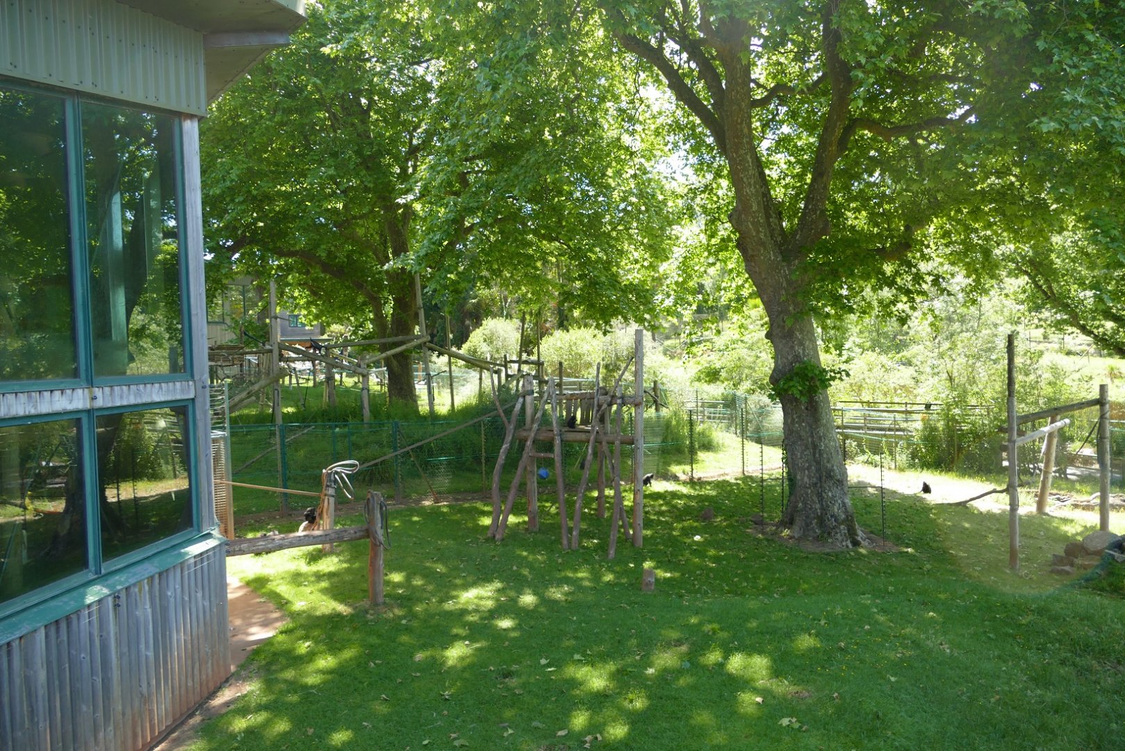 Monkey Heights, June 2022