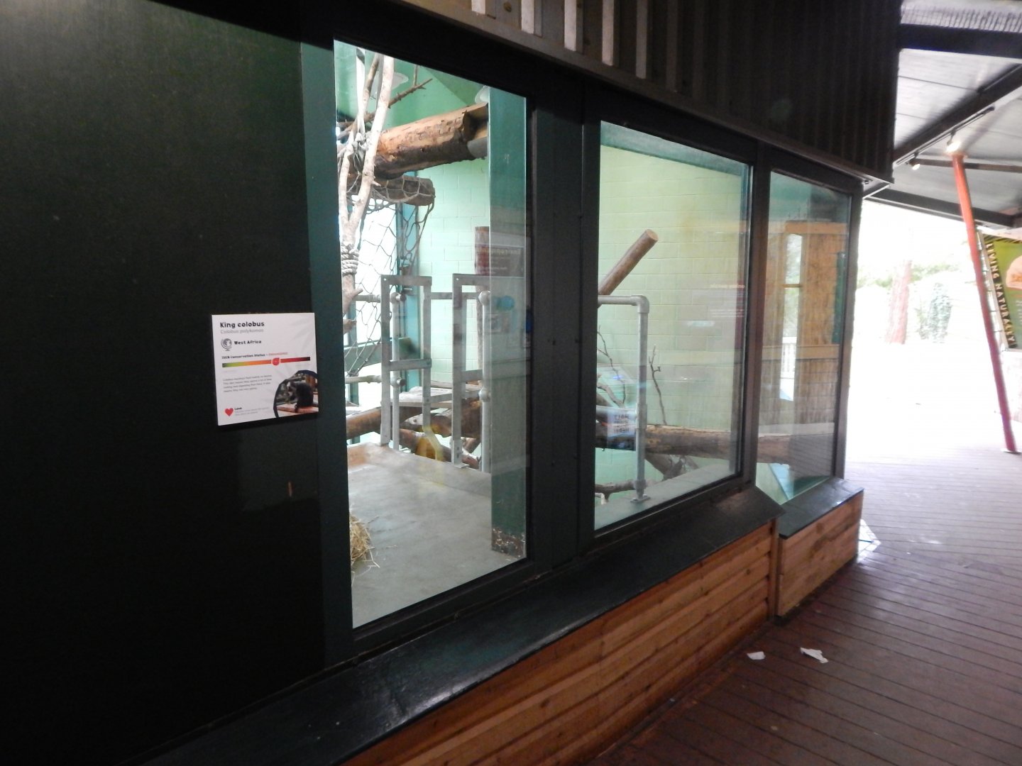 Monkey Heights - King colobus enclosure 050224