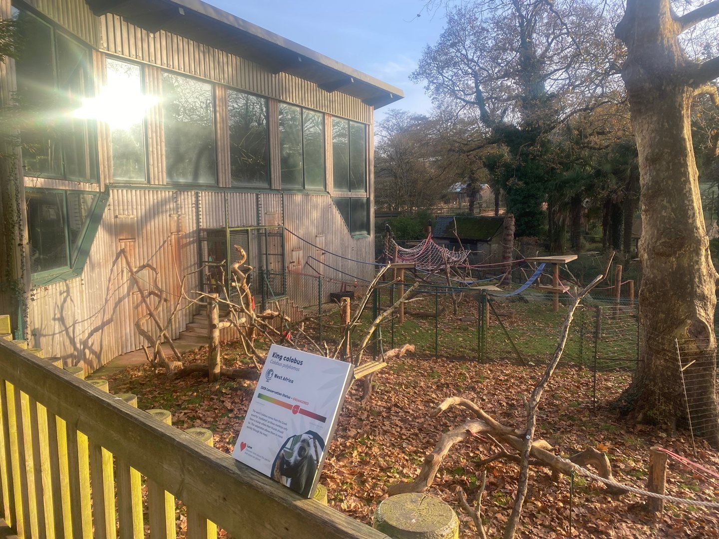 Monkey Heights- King colobus enclosure 161222