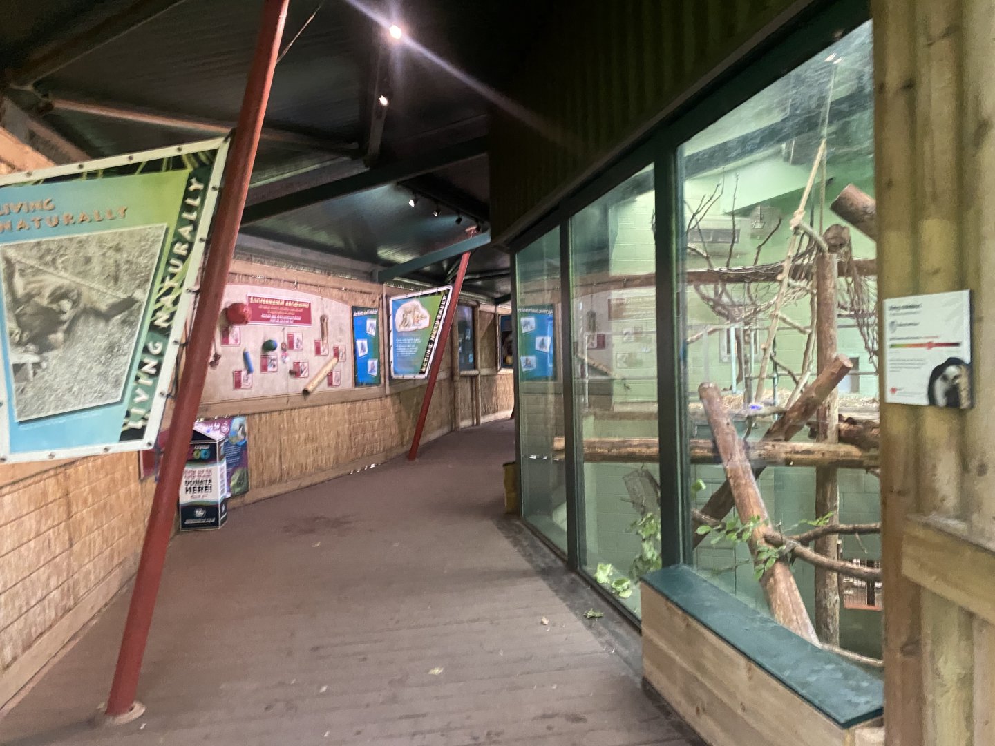 Monkey Heights - King colobus exhibit 130624