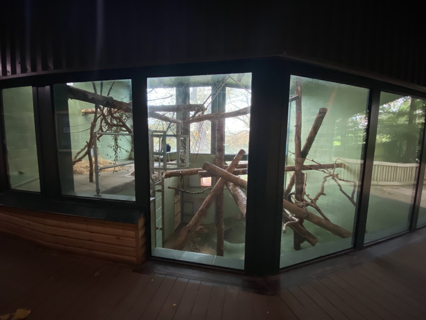 Monkey Heights - King colobus exhibit 201121