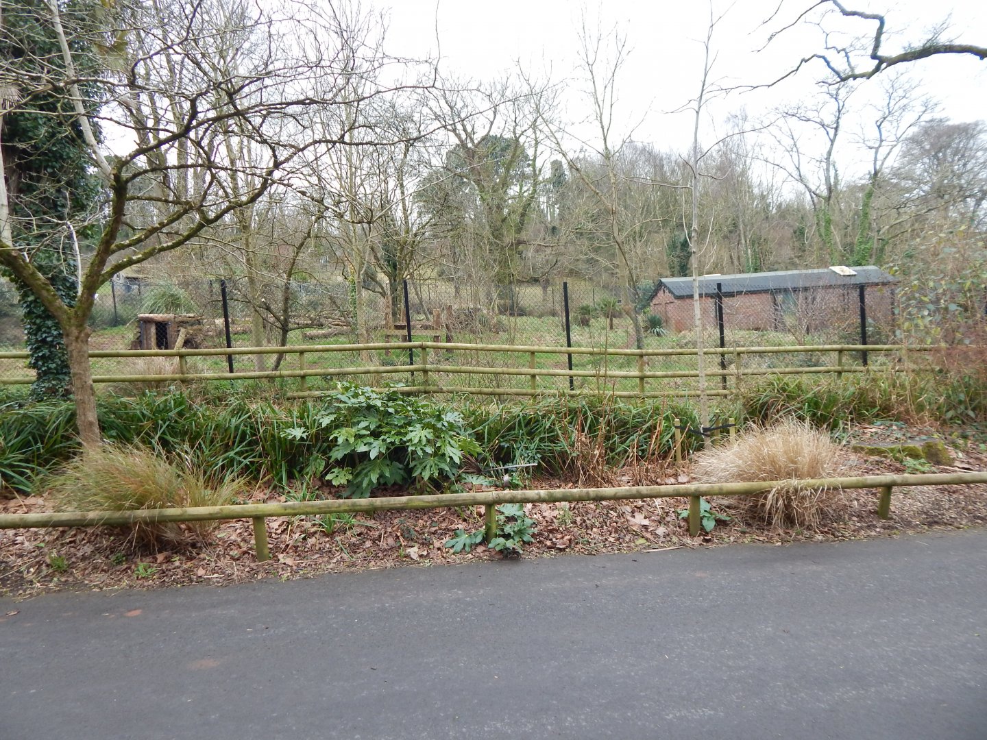 Monkey Heights - Maned wolf exhibit 050224