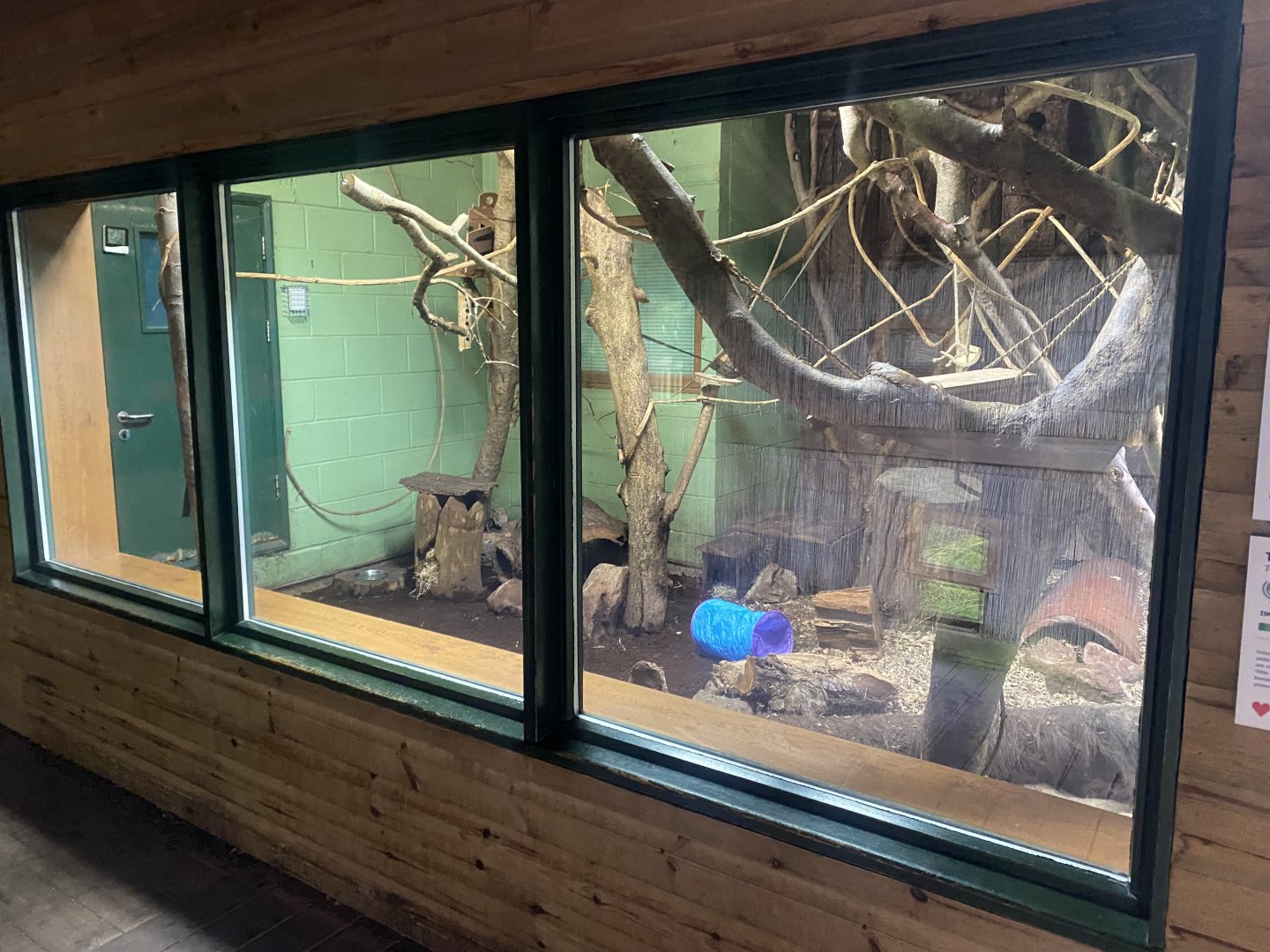 Monkey Heights - Mixed Exhibit 130624