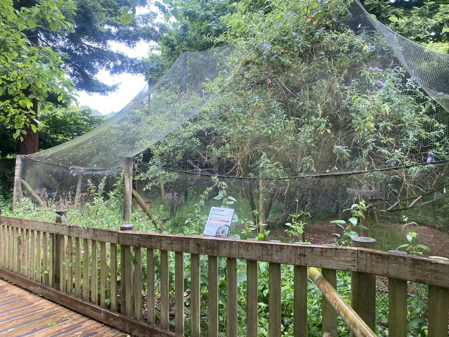 Monkey Heights - Squirrel monkey and Azara’s agouti exhibit 130624