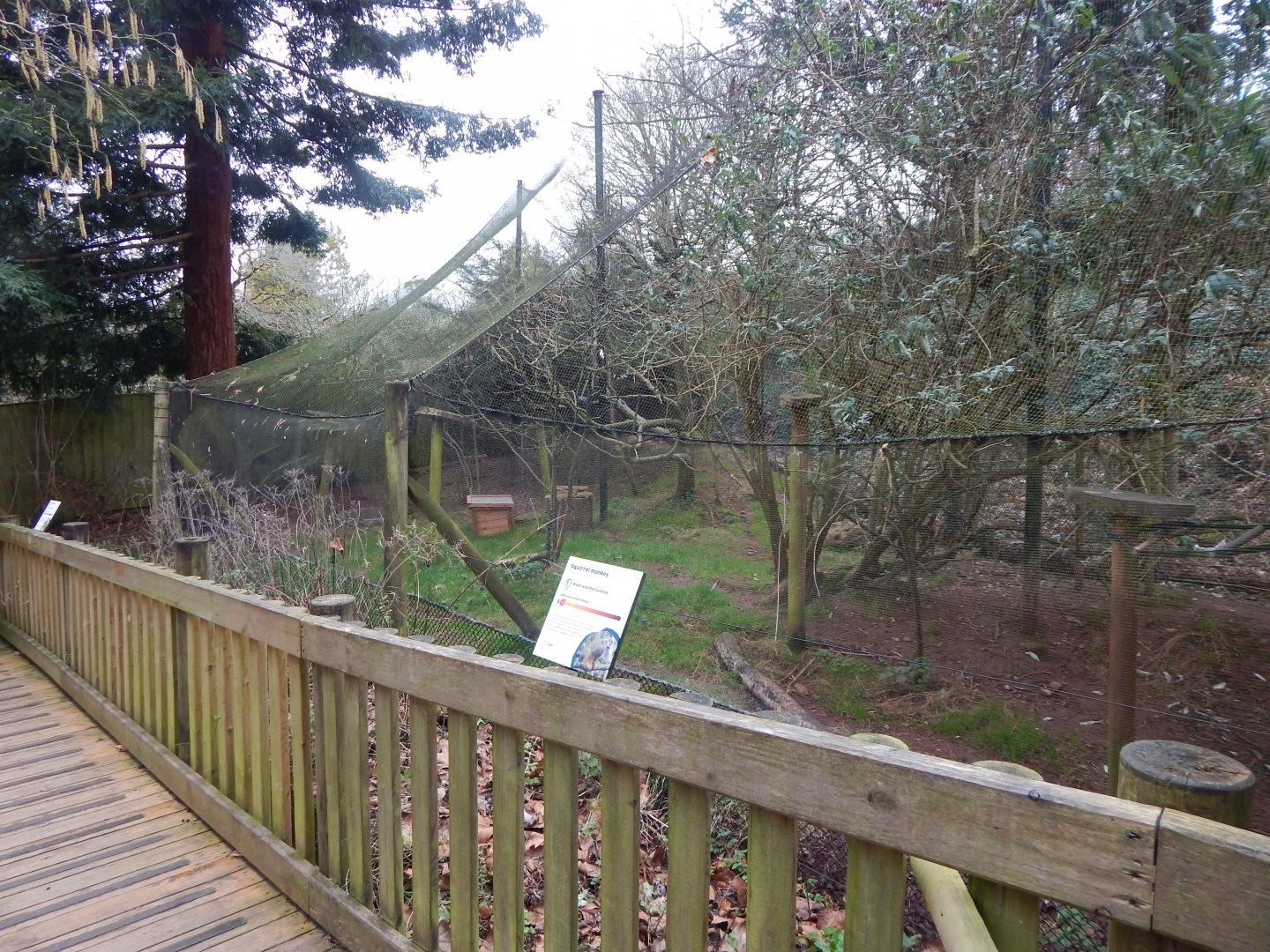 Monkey Heights - Squirrel monkey/Azara's agouti enclosure 050224