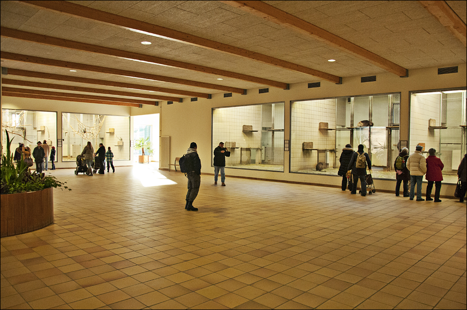 Monkey house at Berlin Tierpark