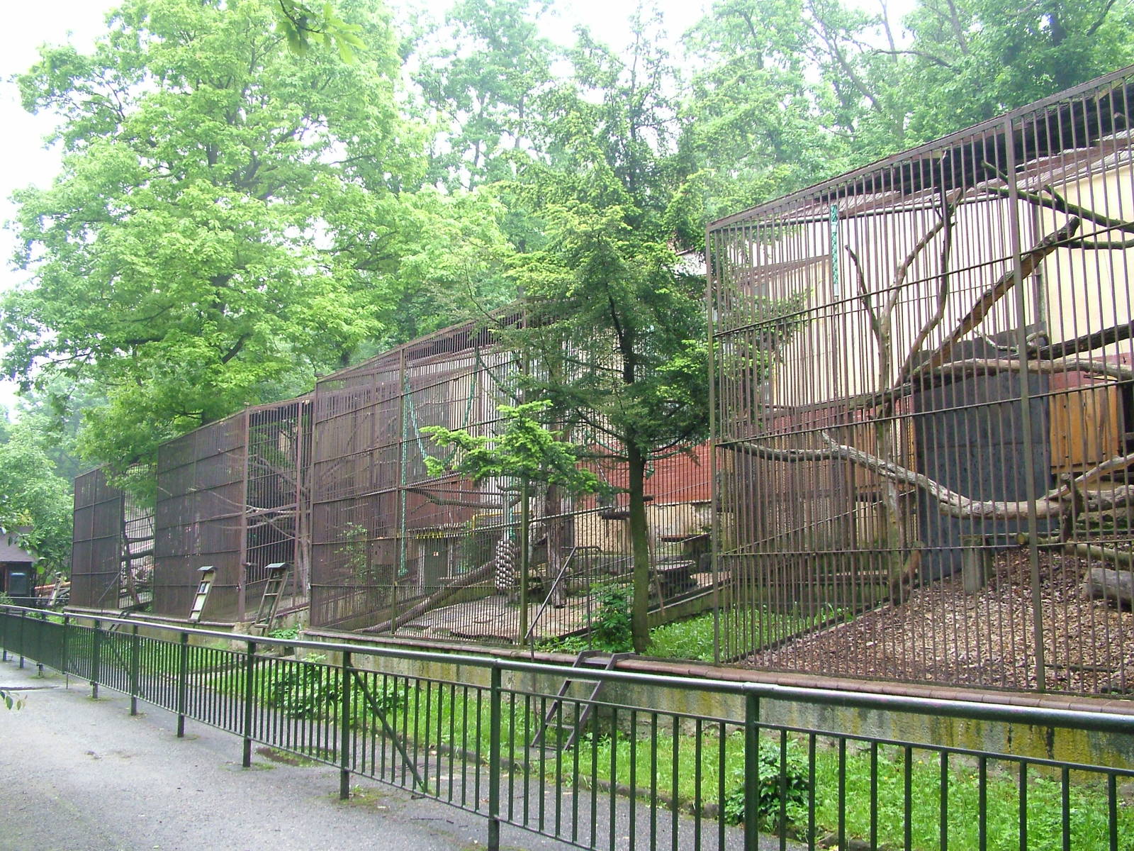 Monkey House at Brno, 27/05/10