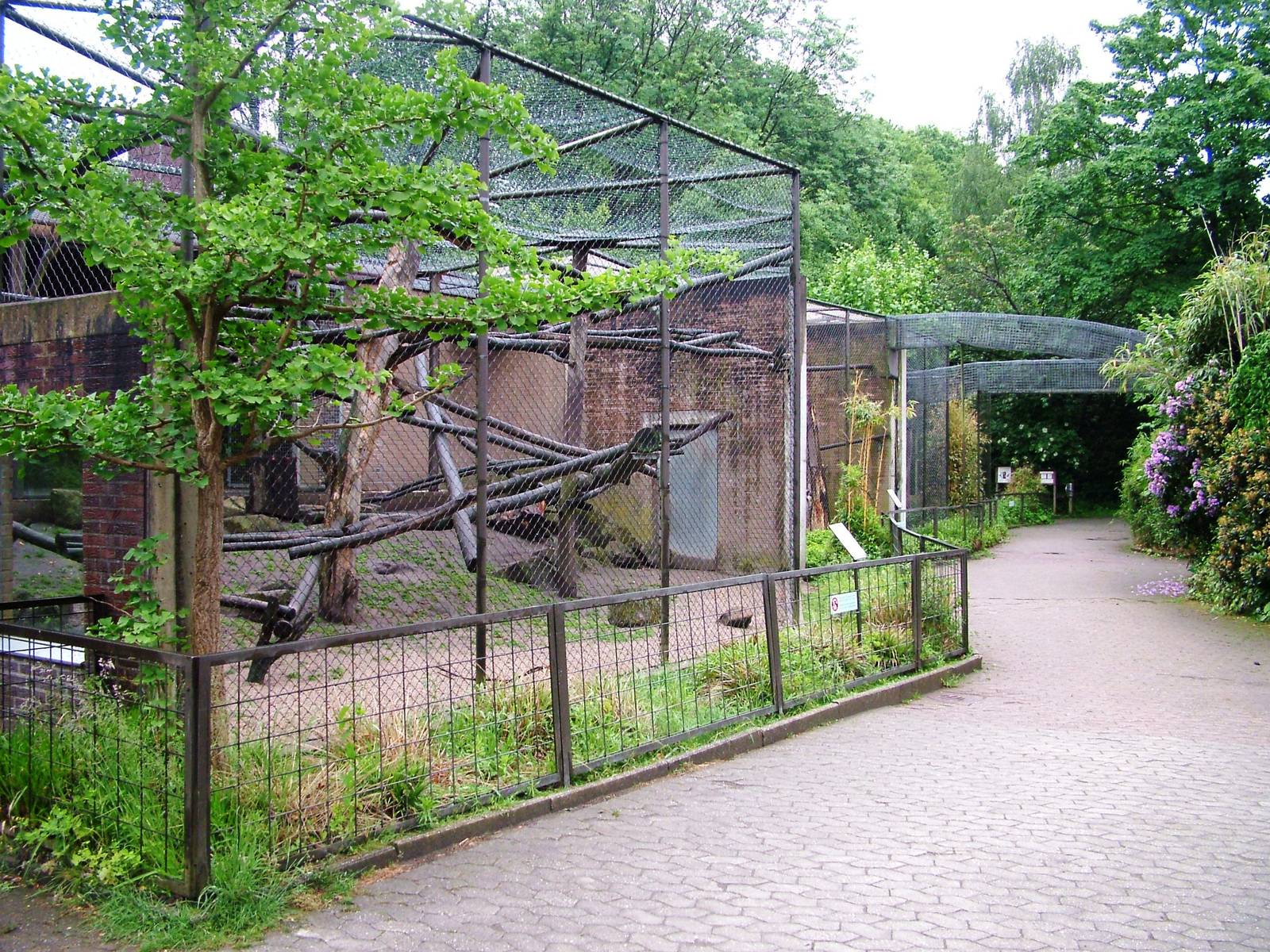 Monkey House at Rheine, 03/06/12