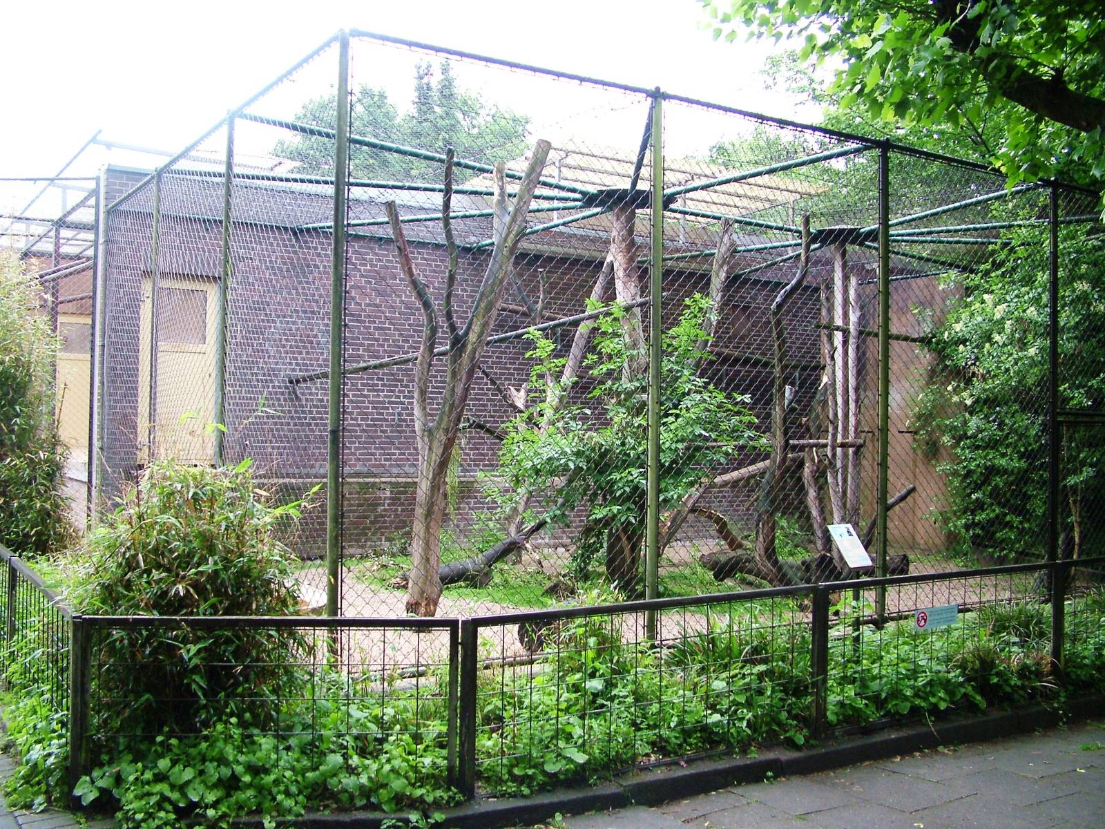Monkey House at Rheine, 03/06/12