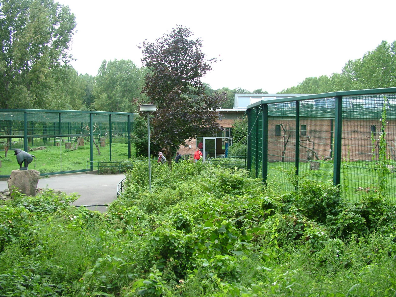 Monkey House at Tierpark Berlin, 30/08/11