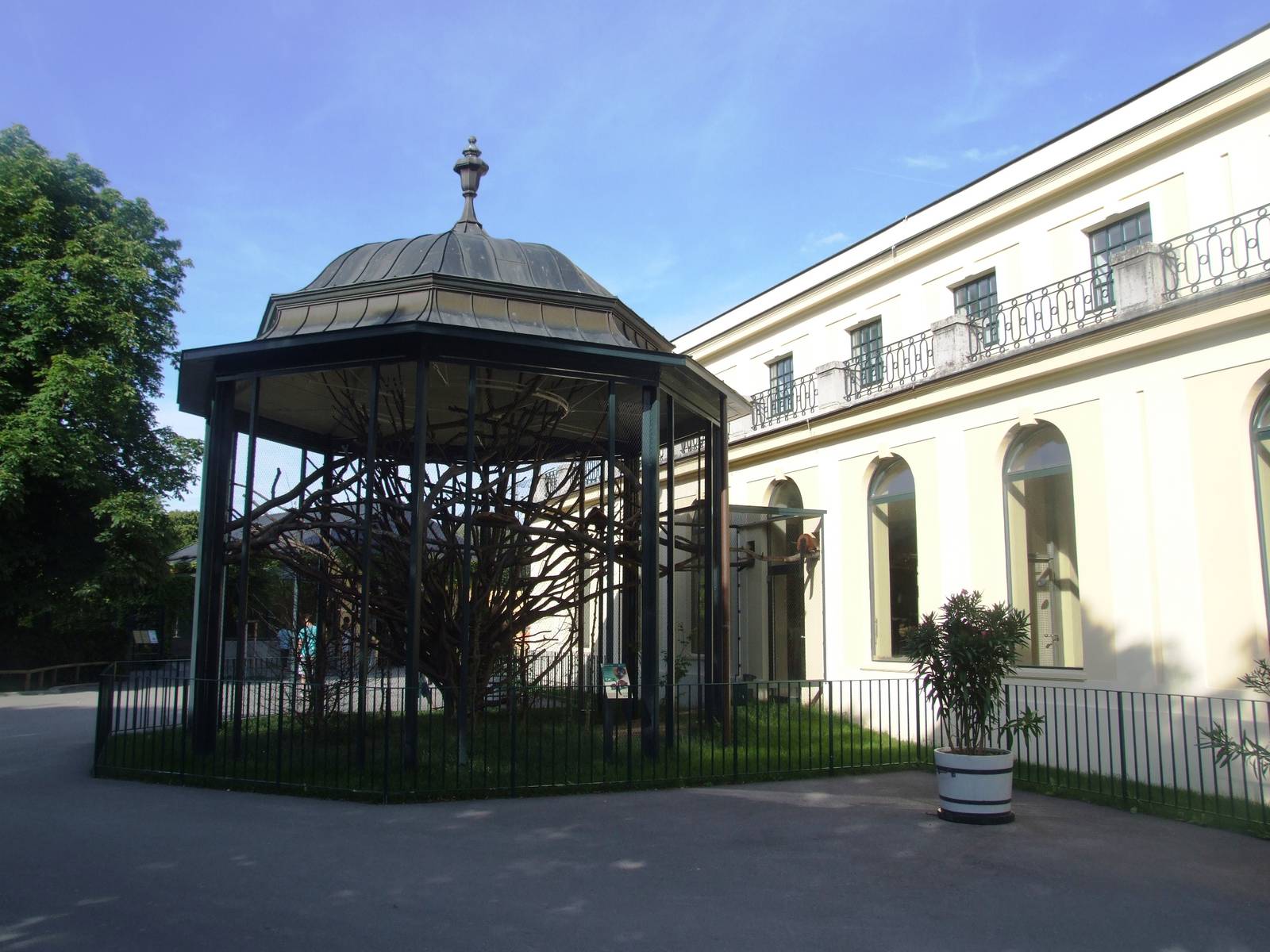 Monkey House at Vienna, 14/06/13