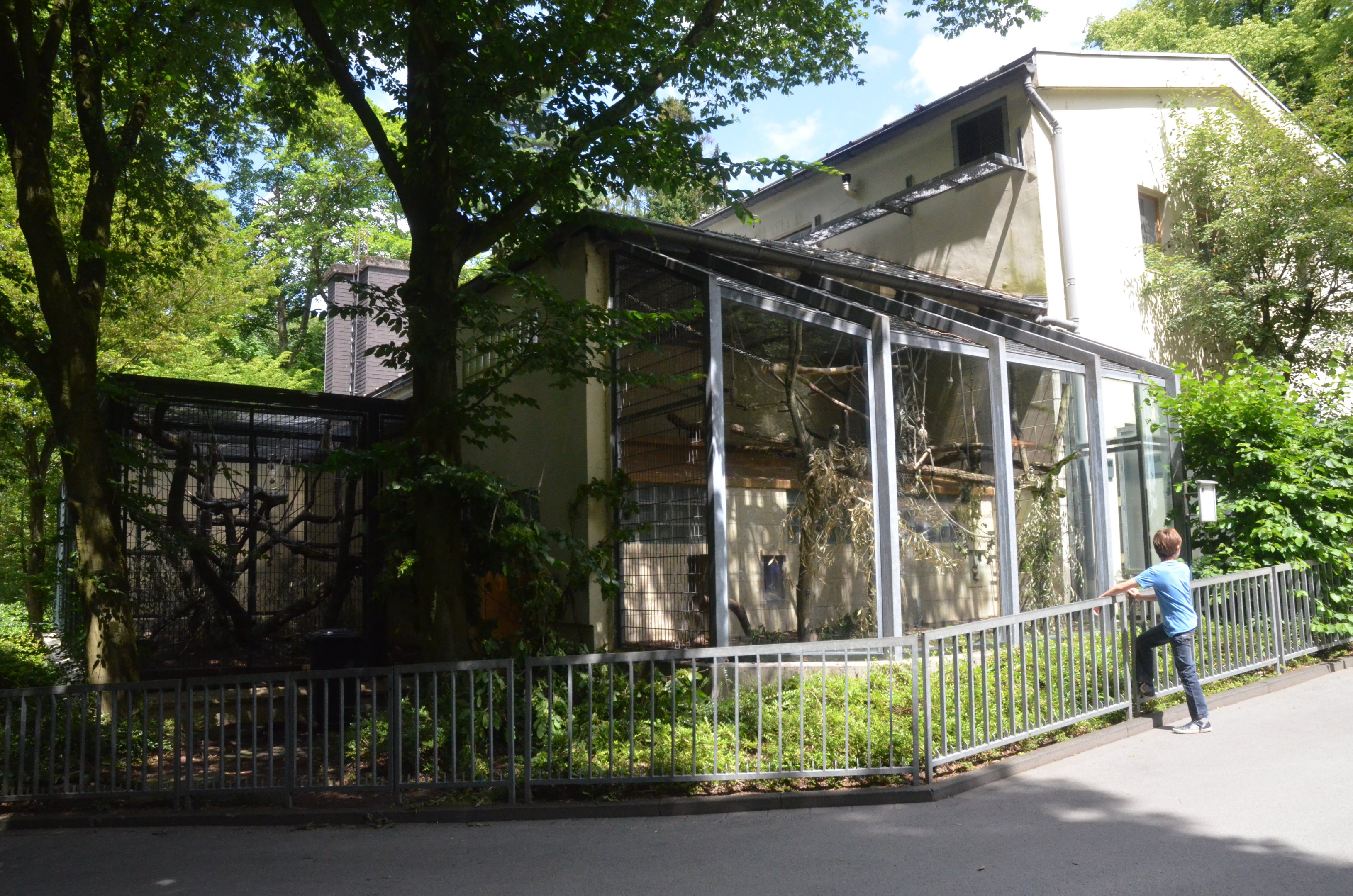 Monkey House at Wuppertal, 16/06/19