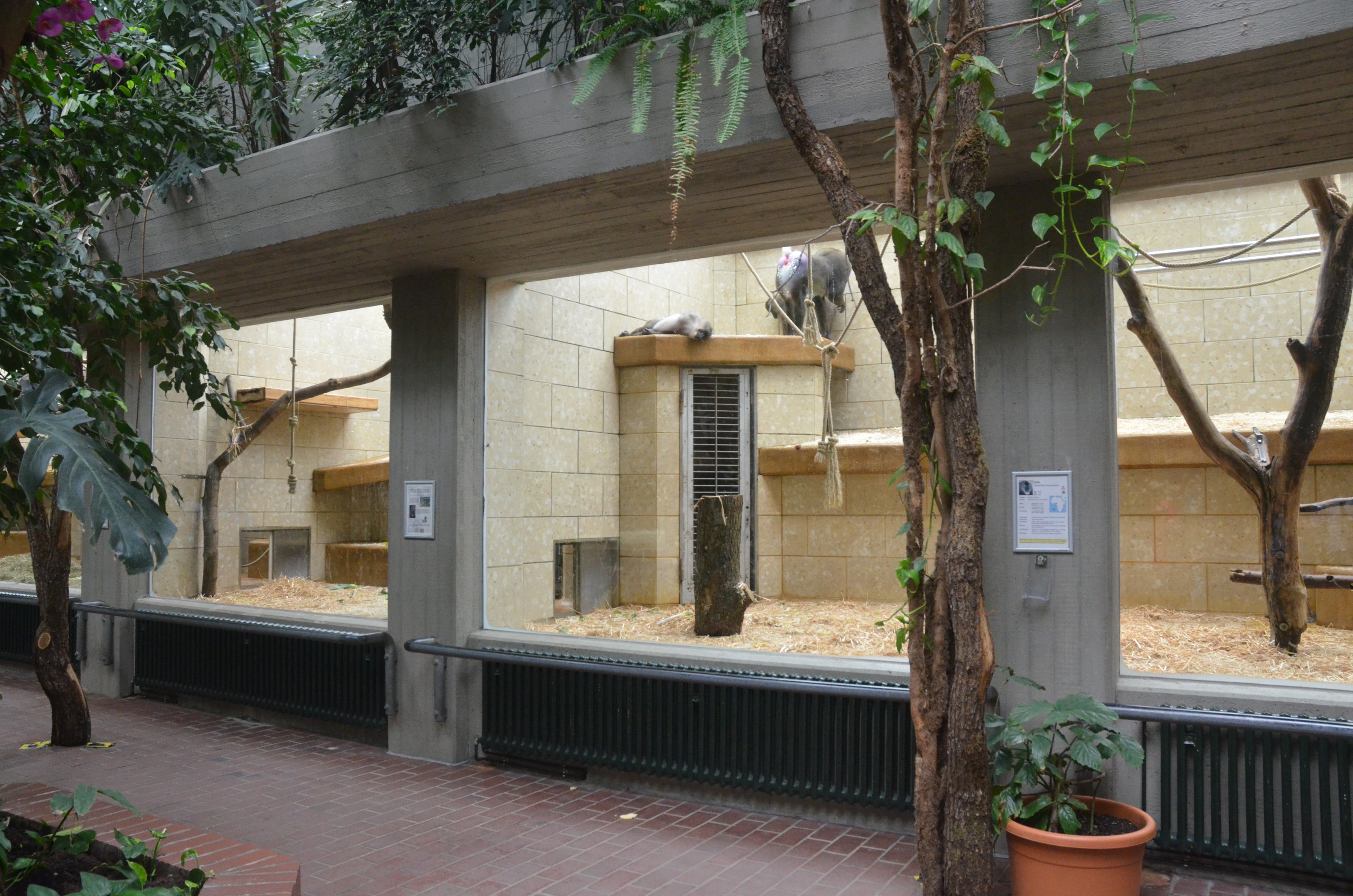 Monkey House at Wuppertal, 16/06/19