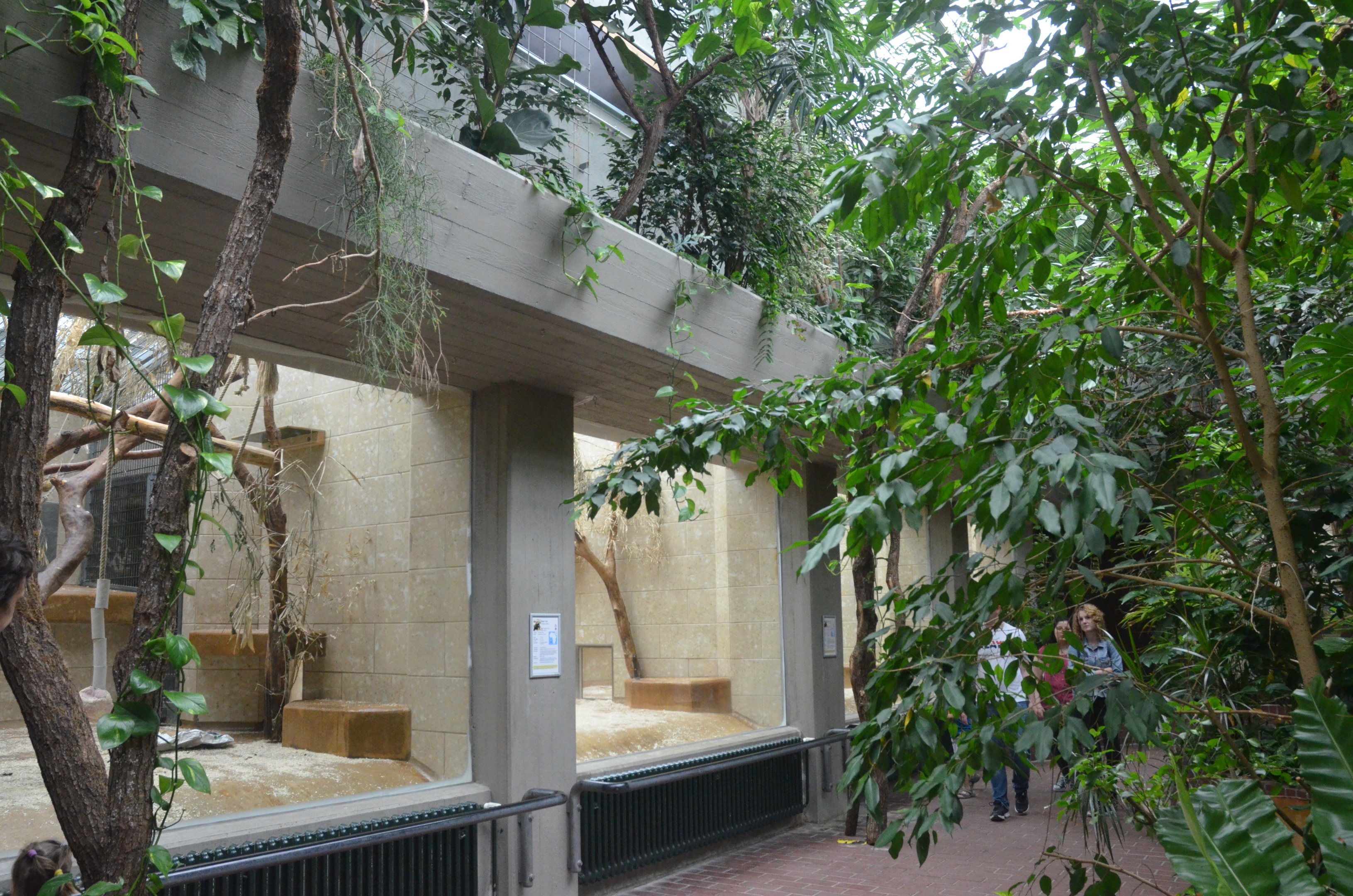 Monkey House at Wuppertal, 16/06/19