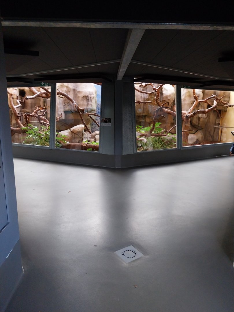 Monkey House - Black-capped capuchin enclosure