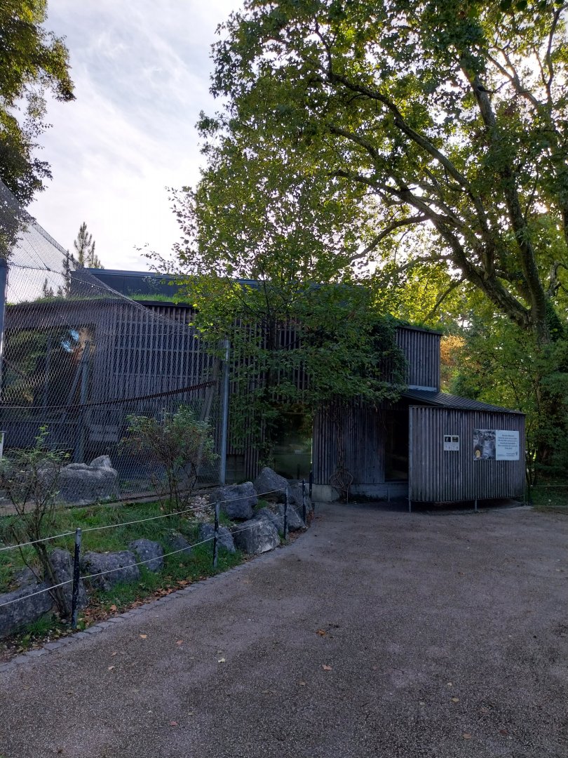 Monkey house (black-capped capuchin)
