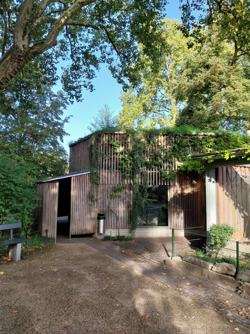 Monkey house (black-capped capuchin)