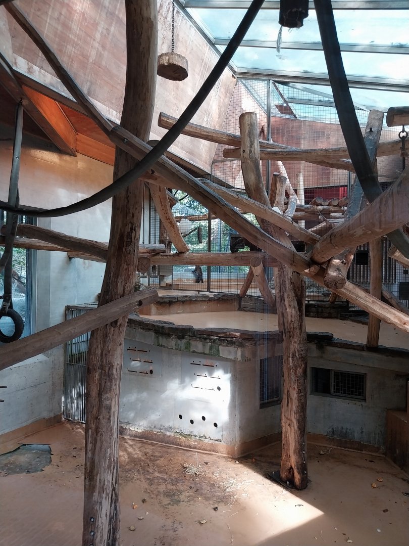 Monkey house (black-capped capuchin)