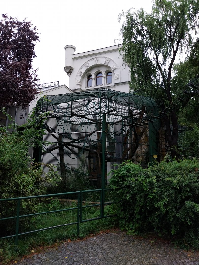 Monkey House - Black howler monkey enclosure