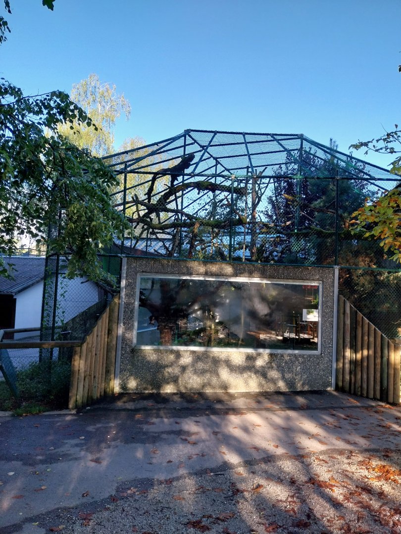 Monkey House - Blue-eyed black lemur enclosure