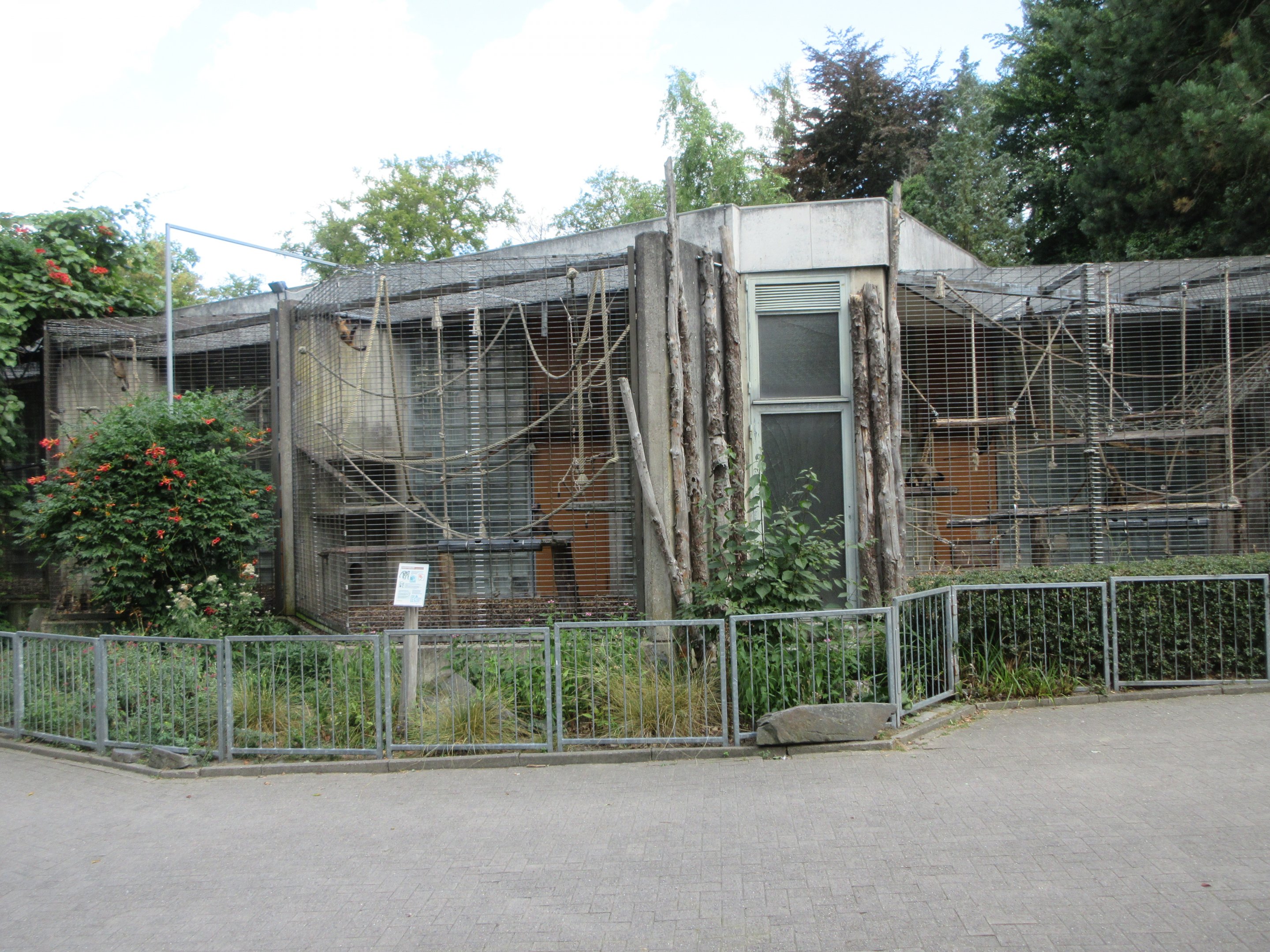 Monkey House - Brown Capuchin Exhibits
