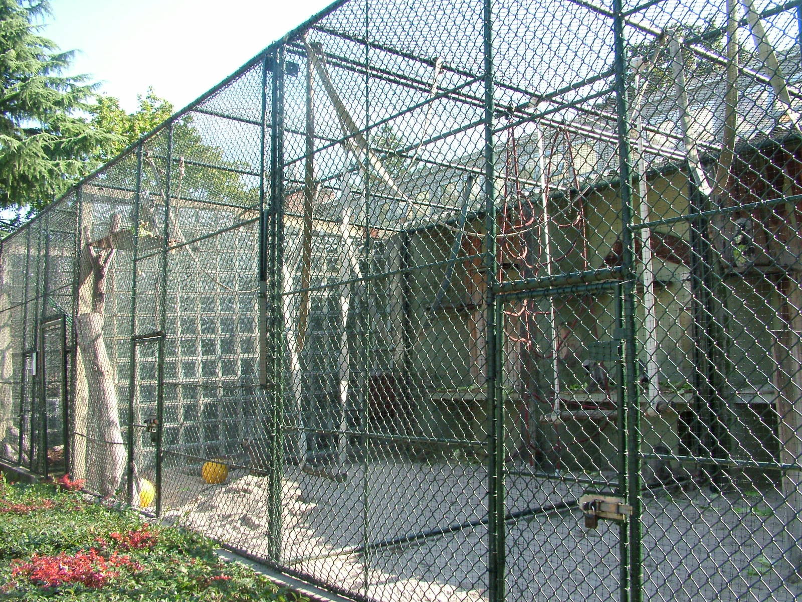 Monkey House cages at Heidelberg, 05/09/10