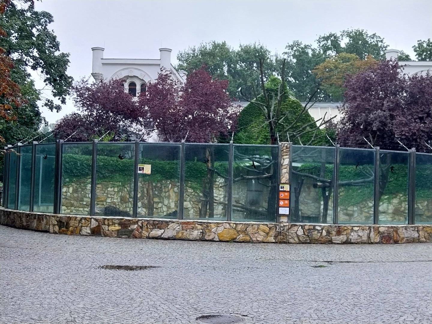 Monkey House- Crested black macaque / Black howler monkey enclosure