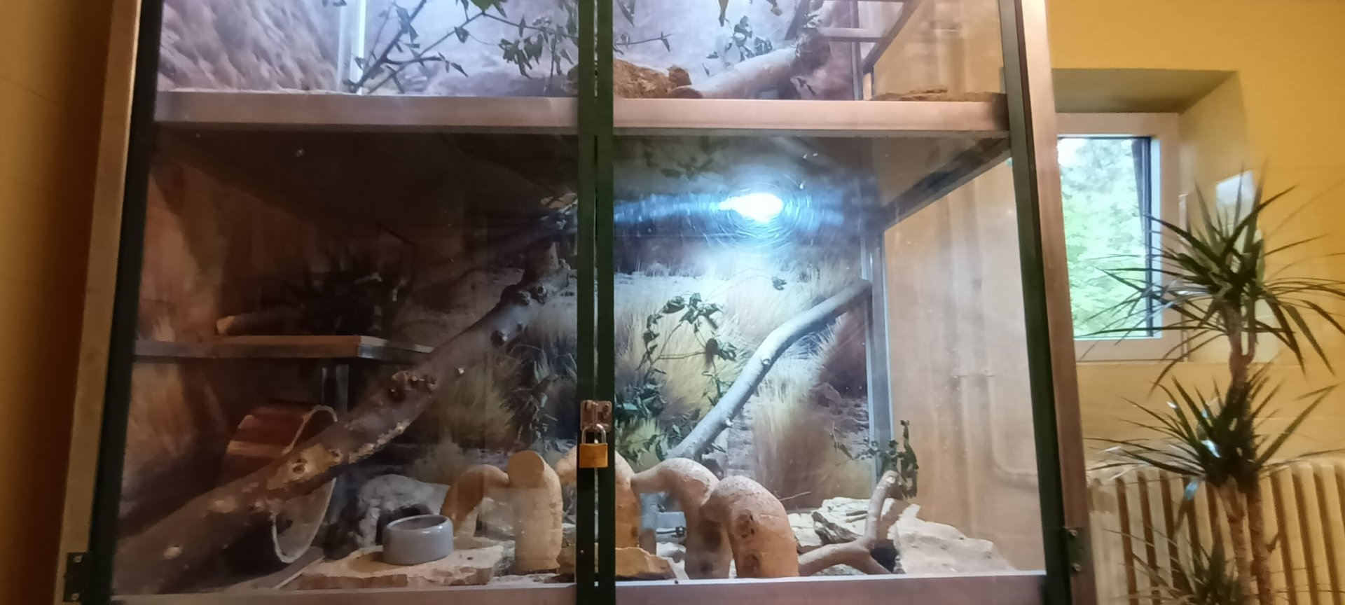 Monkey House: Degu Enclosure