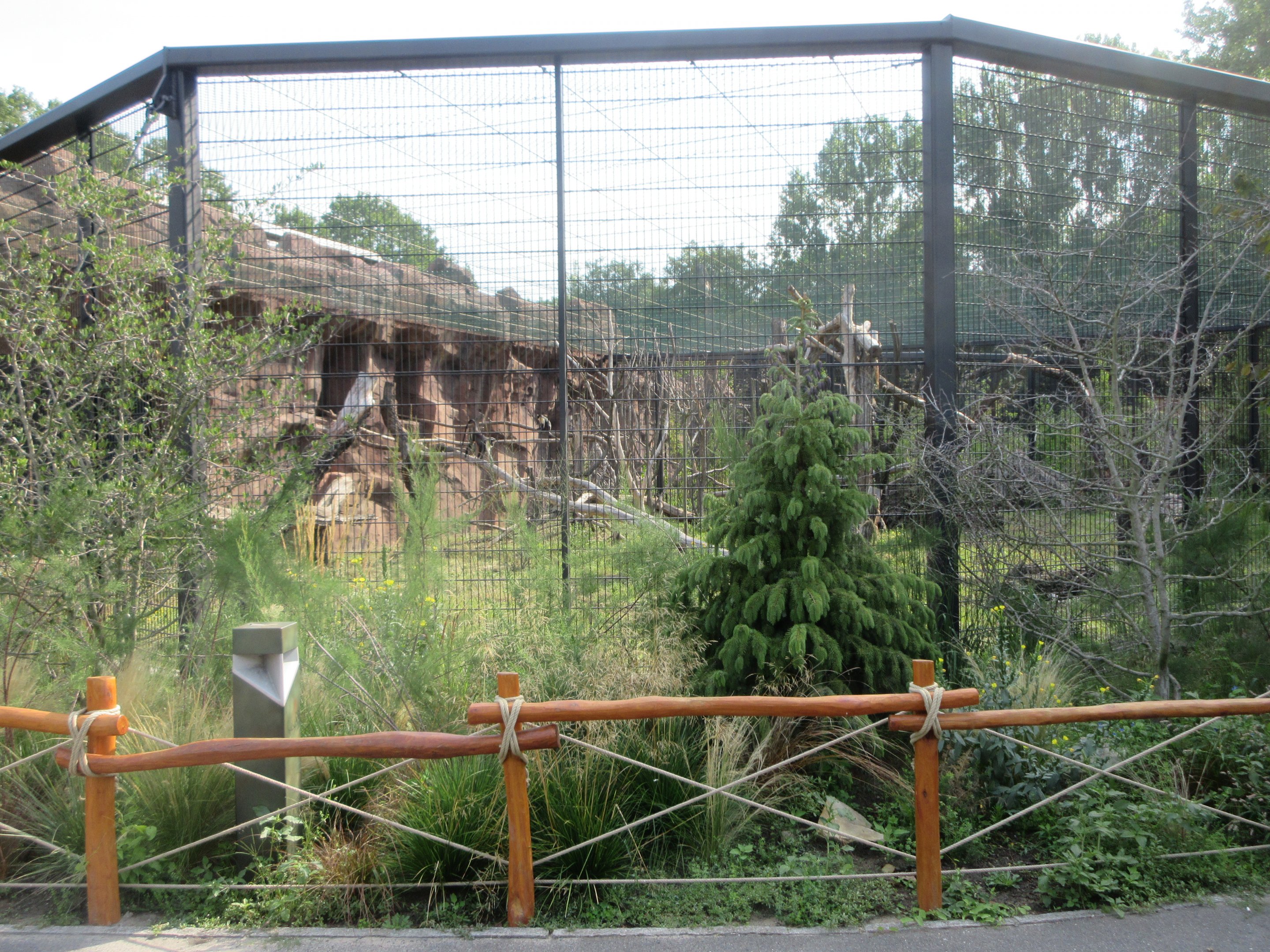 Monkey House - Diana Monkey Exhibit