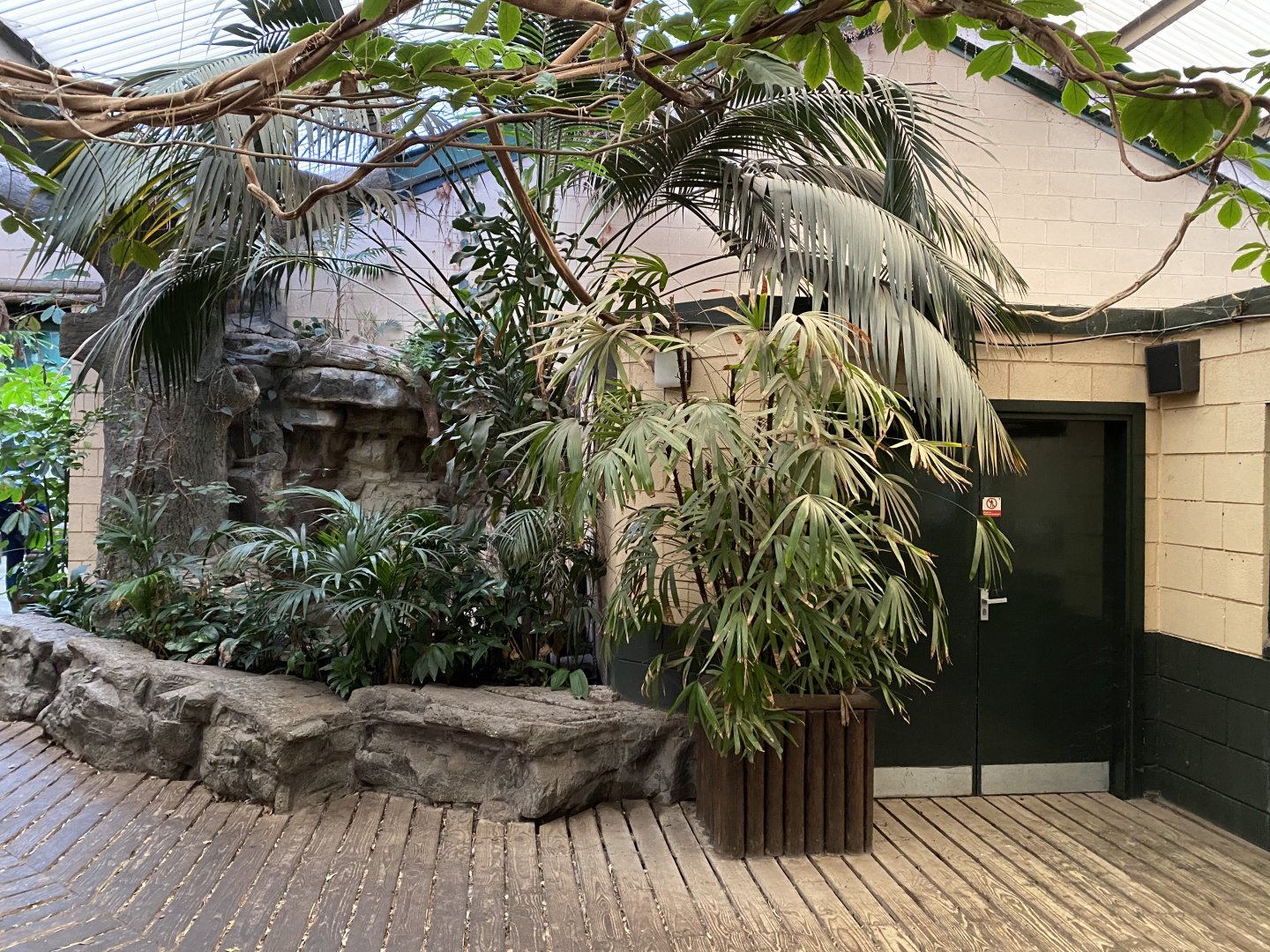 Monkey House entrance area 071020