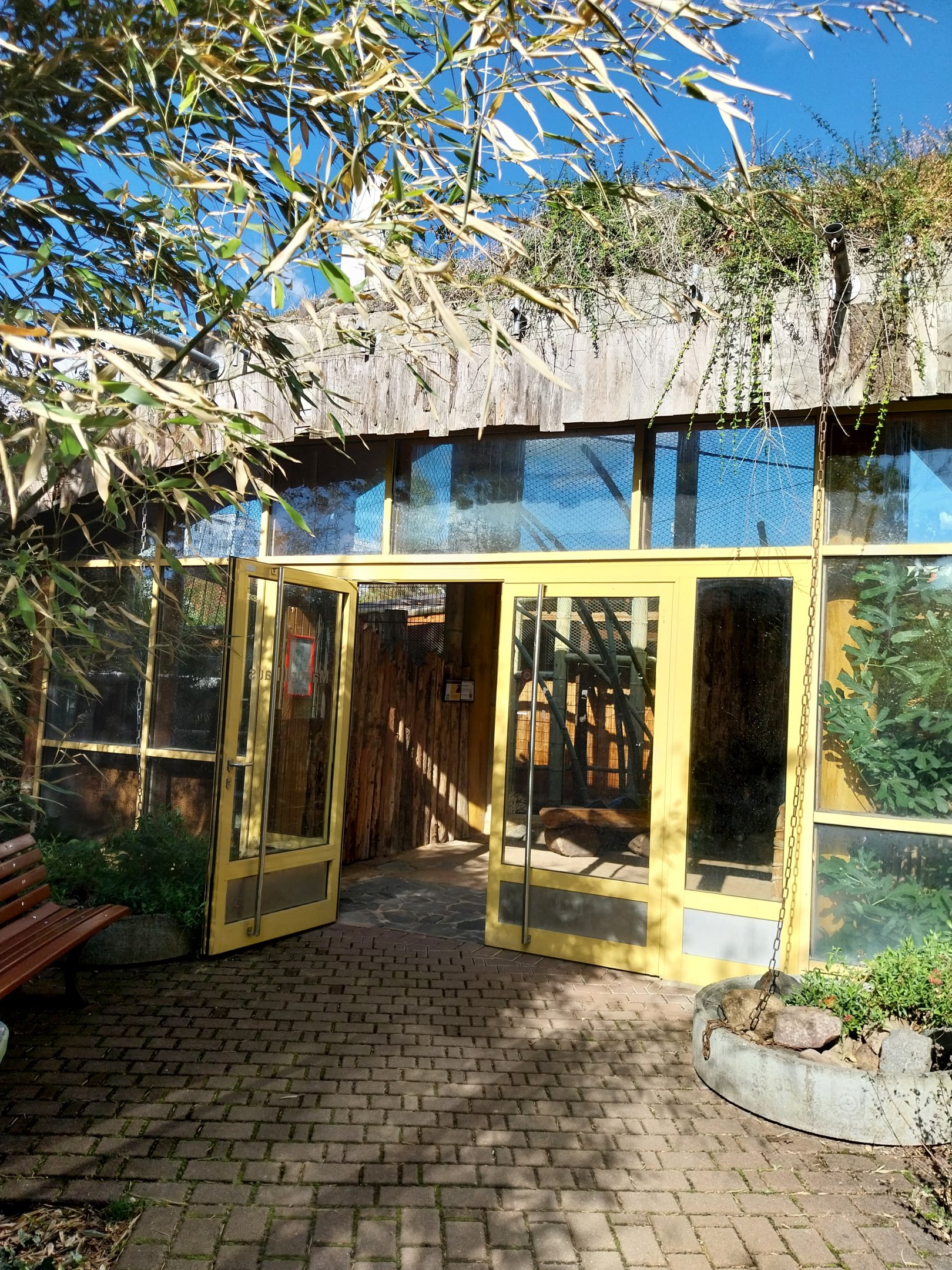 Monkey House - Entrance near Colobus monkeys