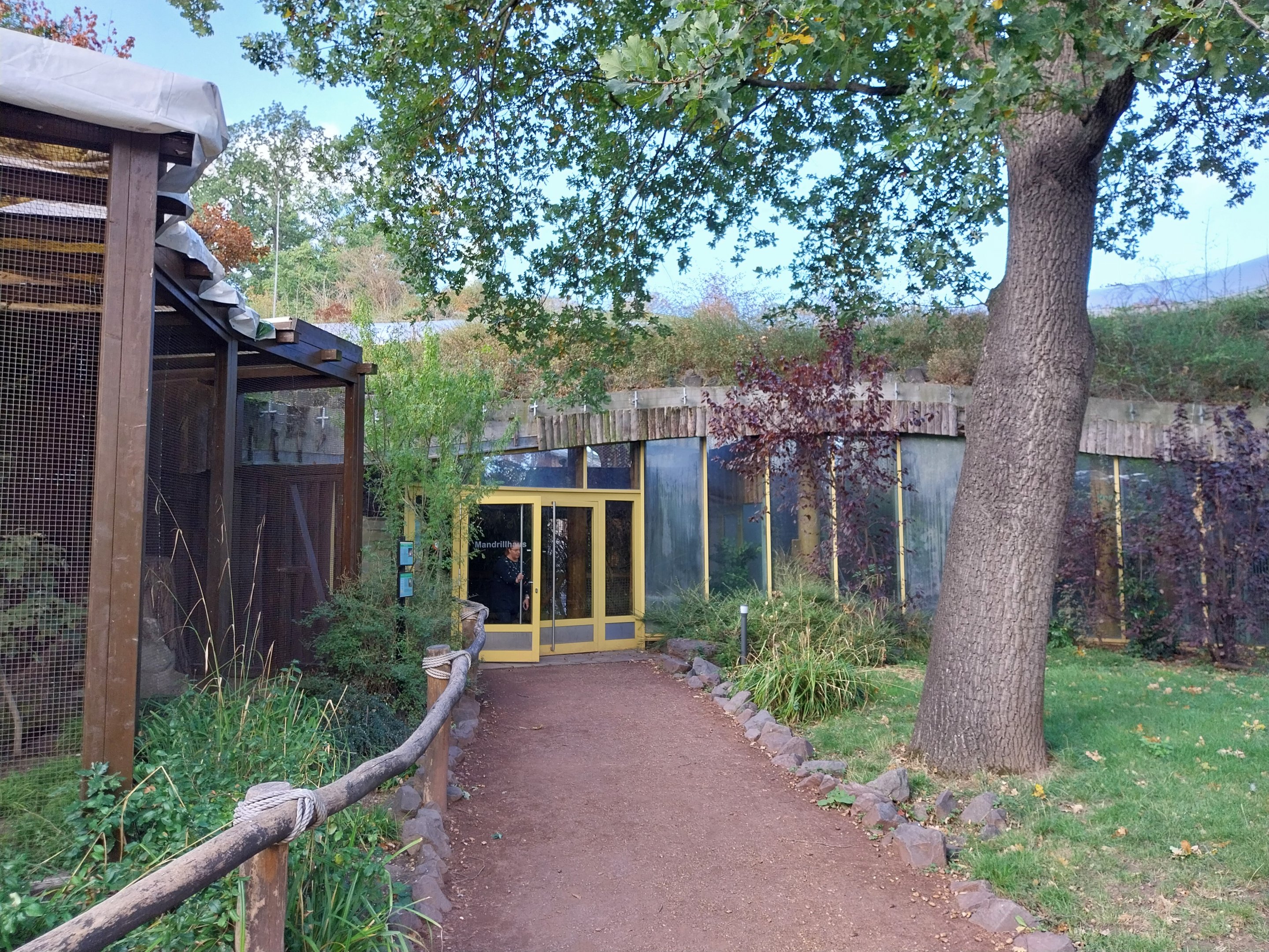 Monkey House - Entrance near Northern Talapoin monkeys