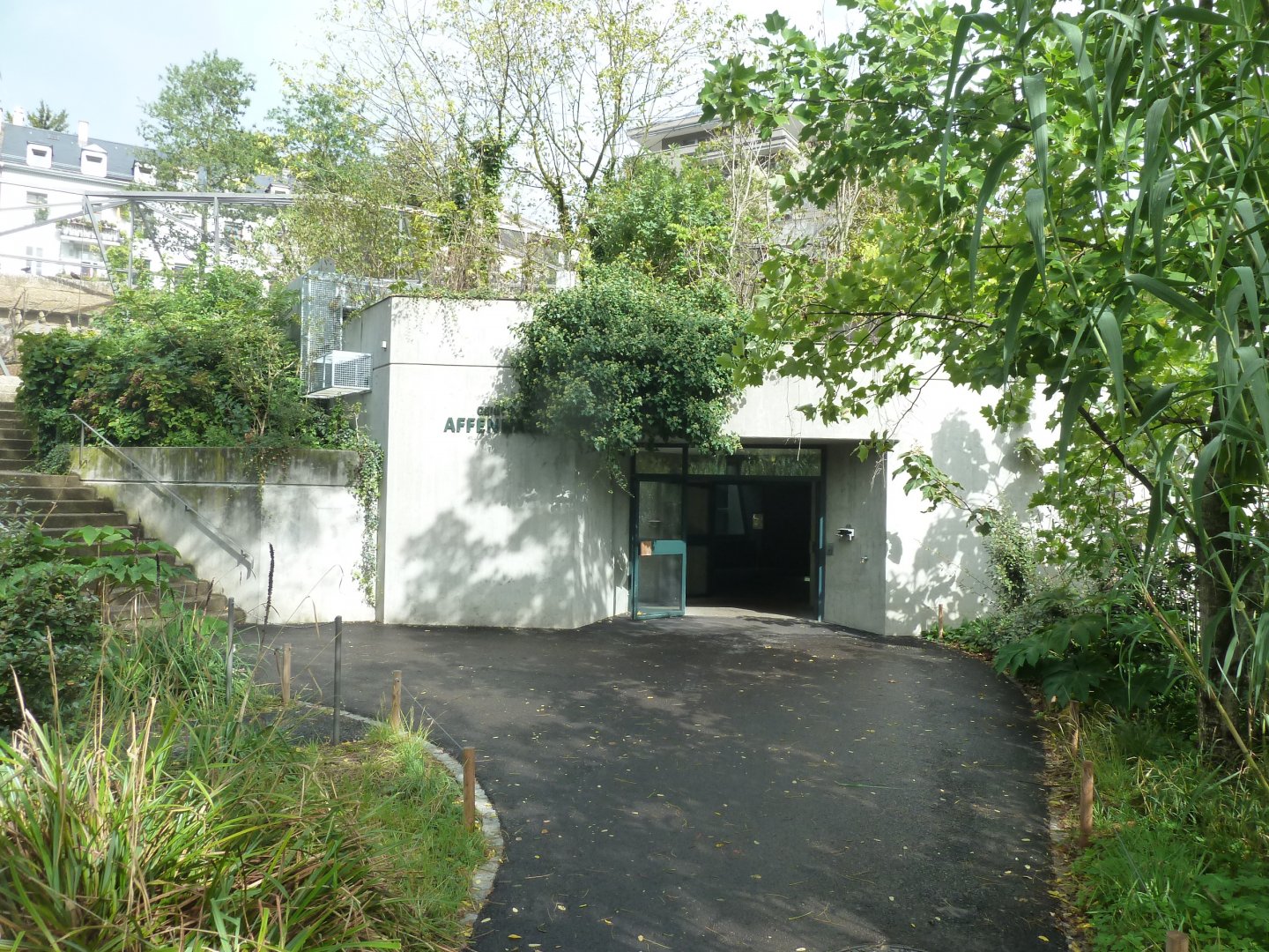 Monkey house - Entrance