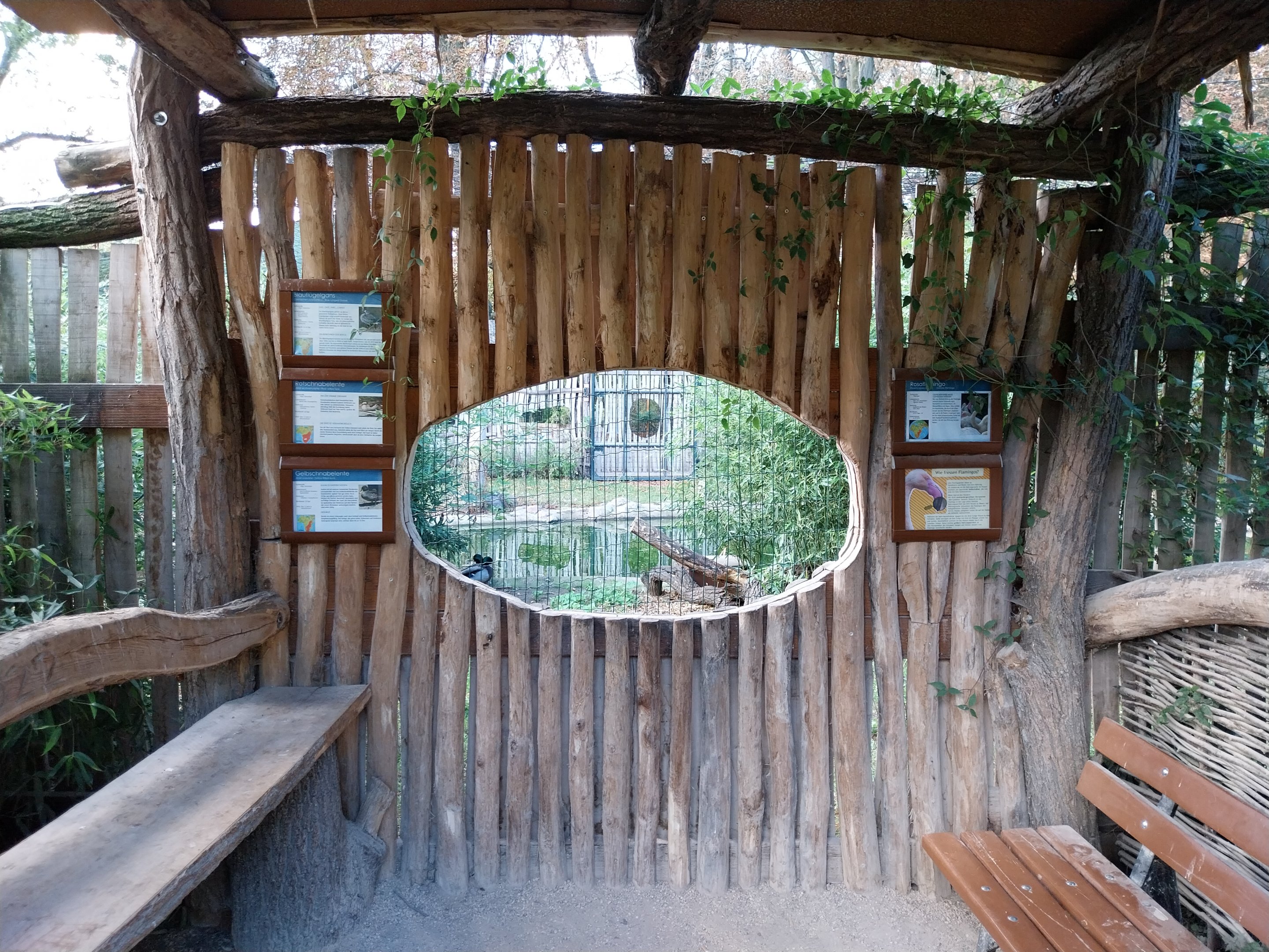 Monkey House - Flamingo vantage point