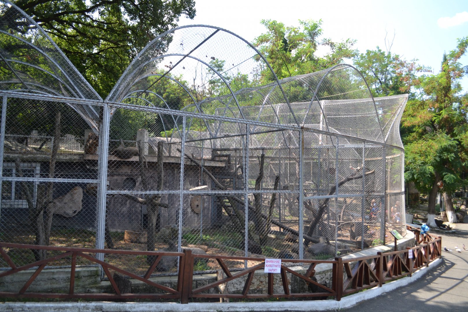 Monkey house for Green monkeys, mona monkeys and Hamadryas baboons