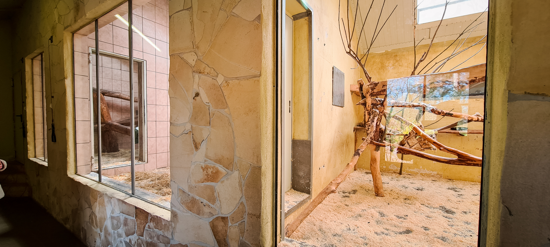 Monkey house for ring-tailed lemurs and hamadry baboons