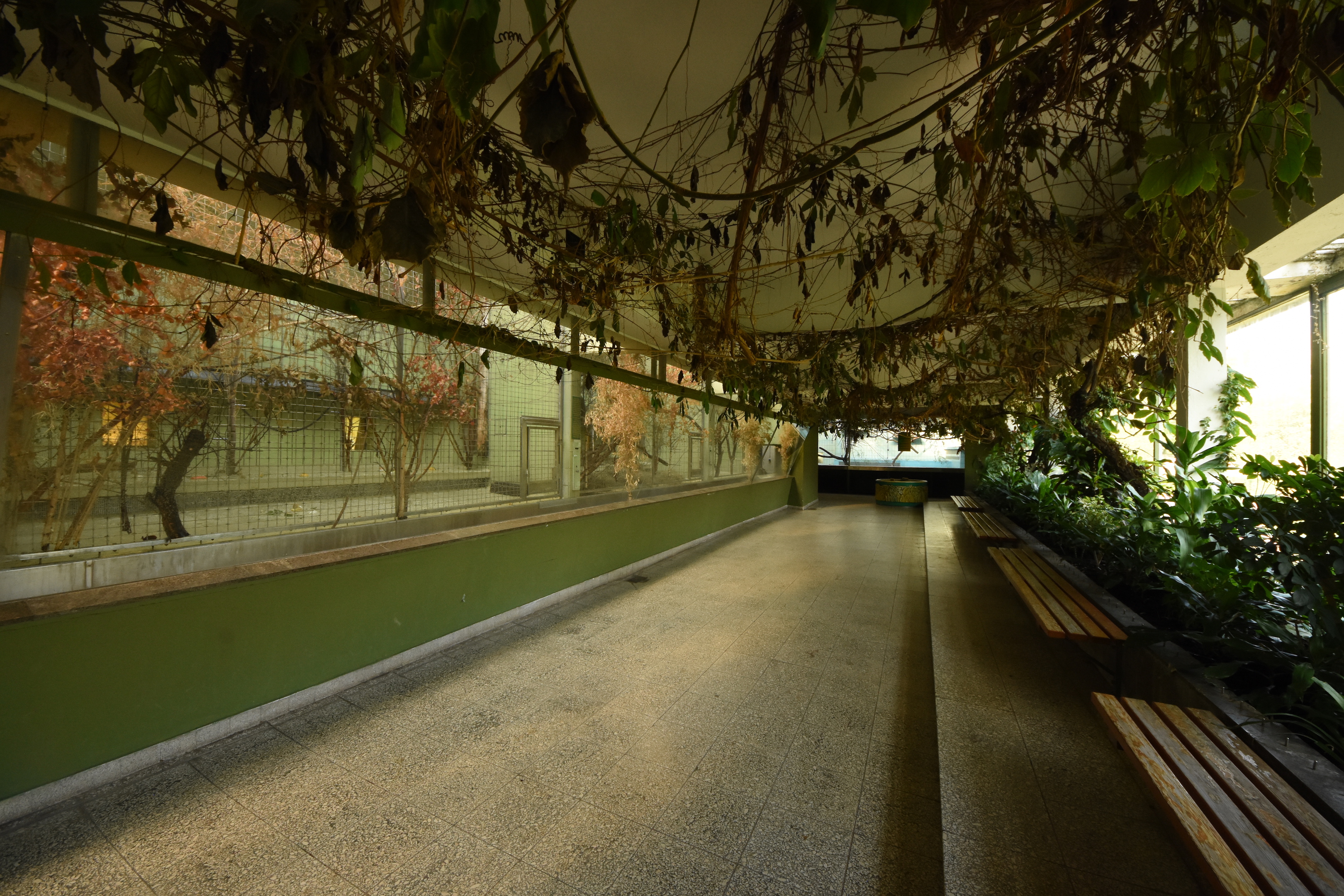 Monkey house - General view