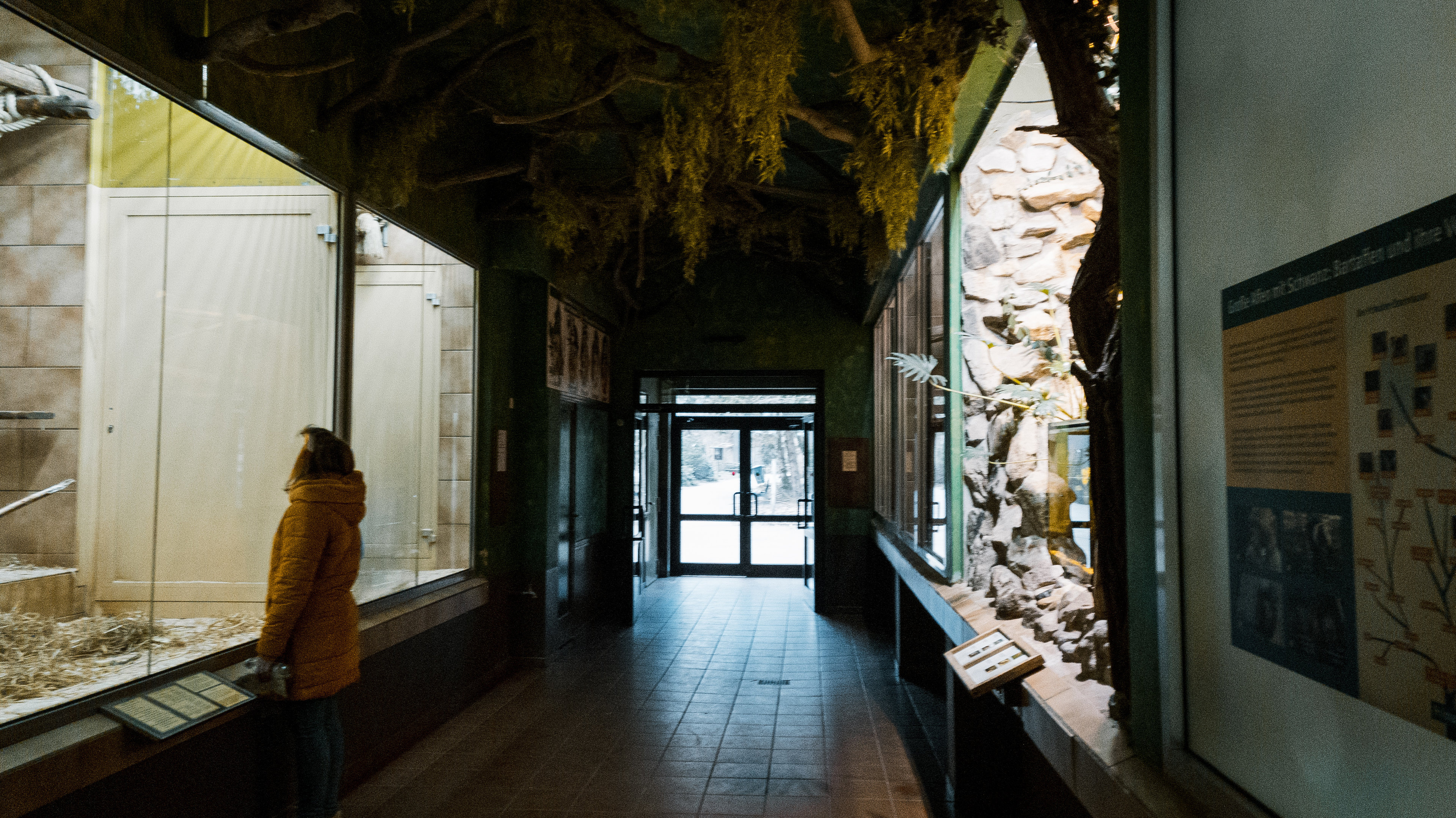 Monkey house general view