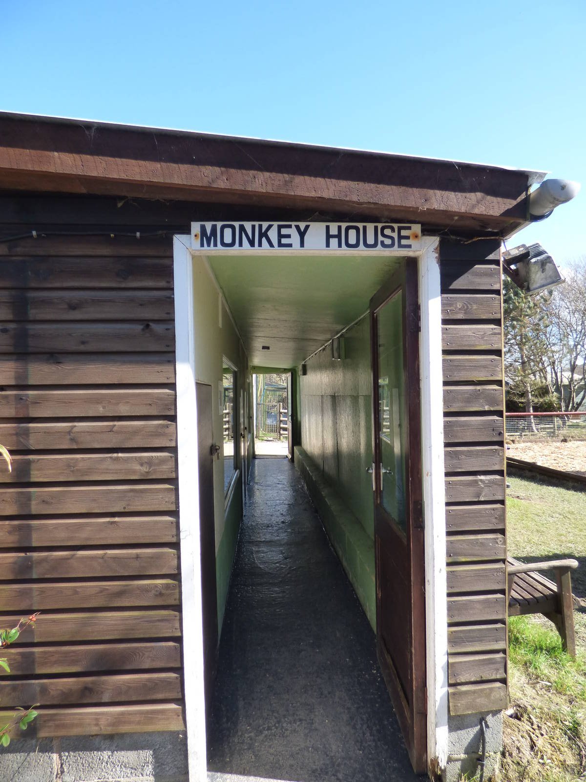 Monkey House home to B & W Ruffed Lemur, Weeper Capauchin, Cotton Eared