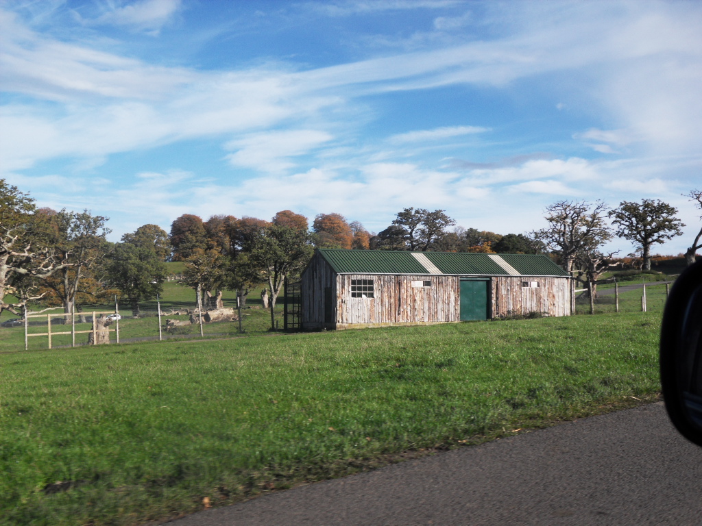 Monkey House if any ones interested