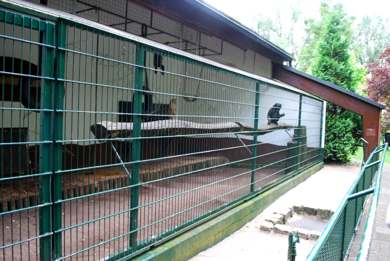 Monkey house in Hamm Tierpark