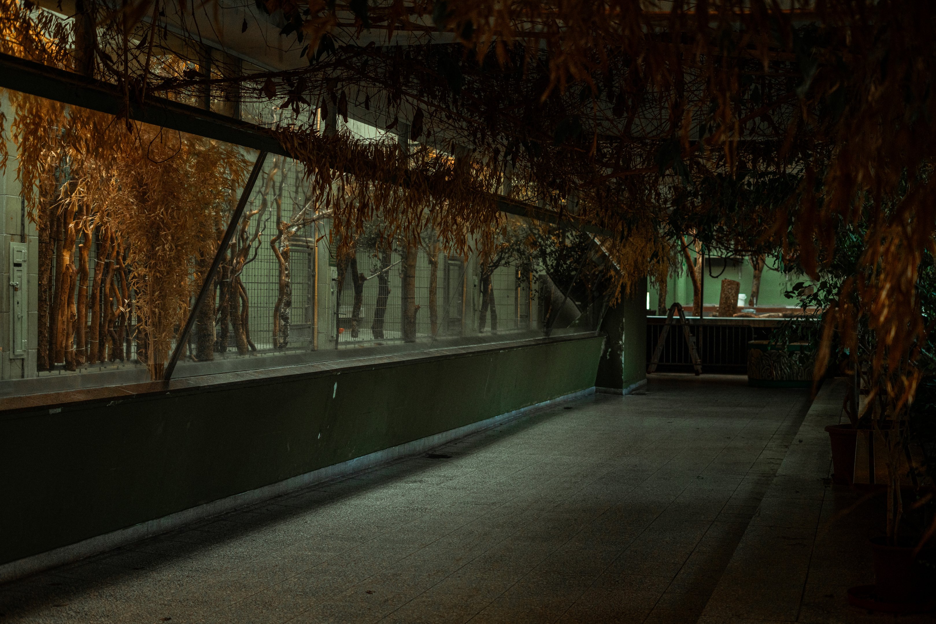 Monkey house indoor area