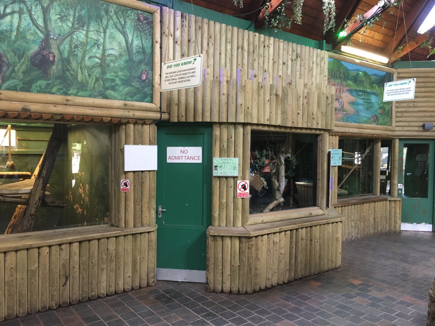 Monkey House indoors 040817