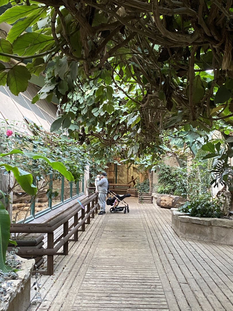 Monkey House indoors 071020