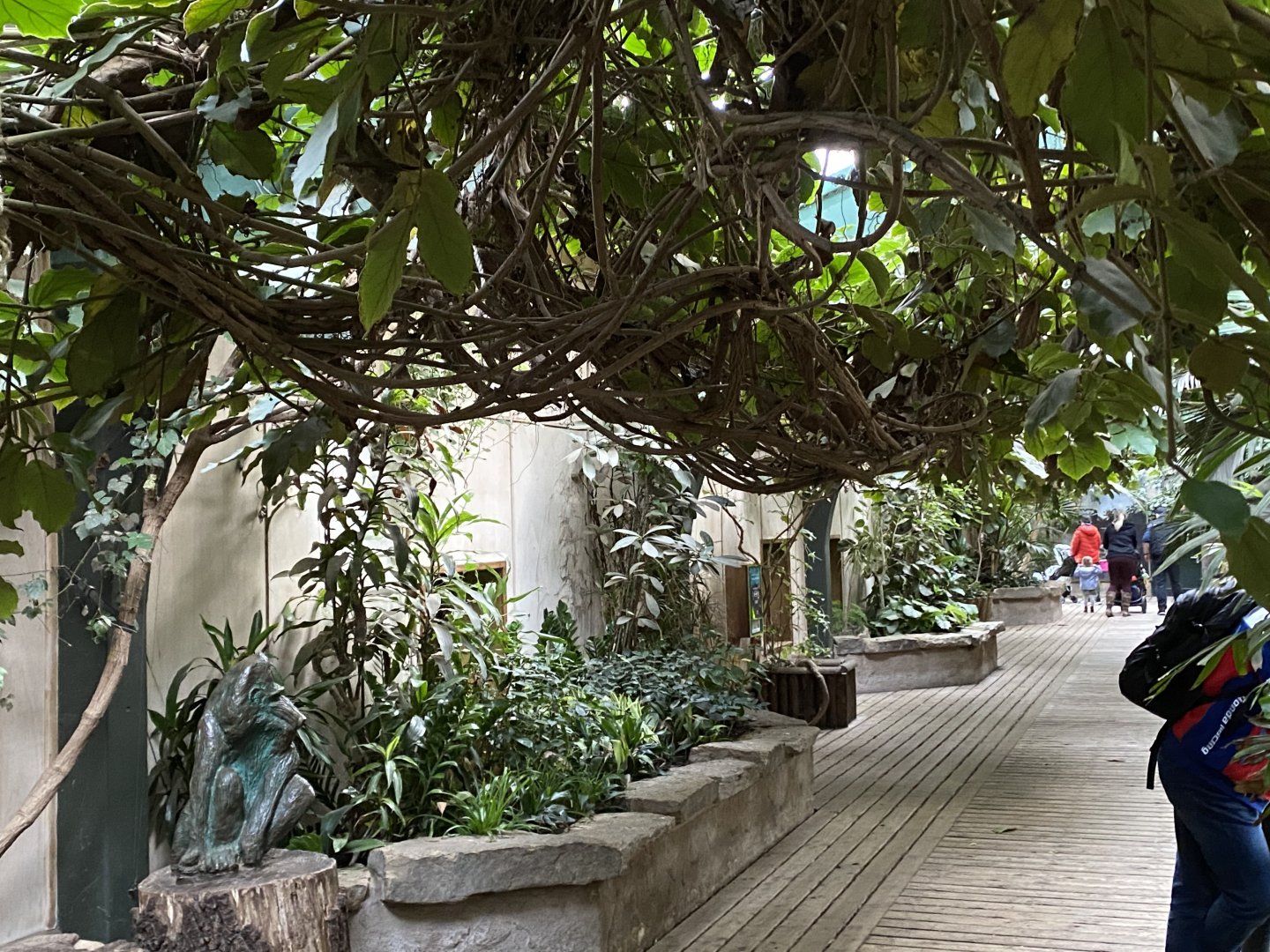 Monkey House indoors 071020