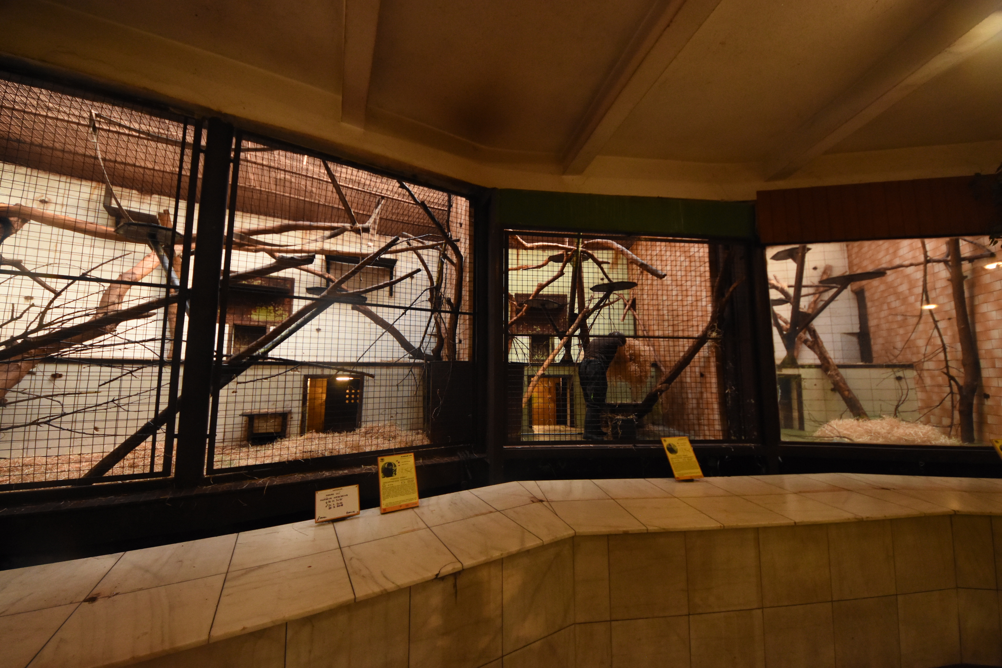 Monkey house - indoors