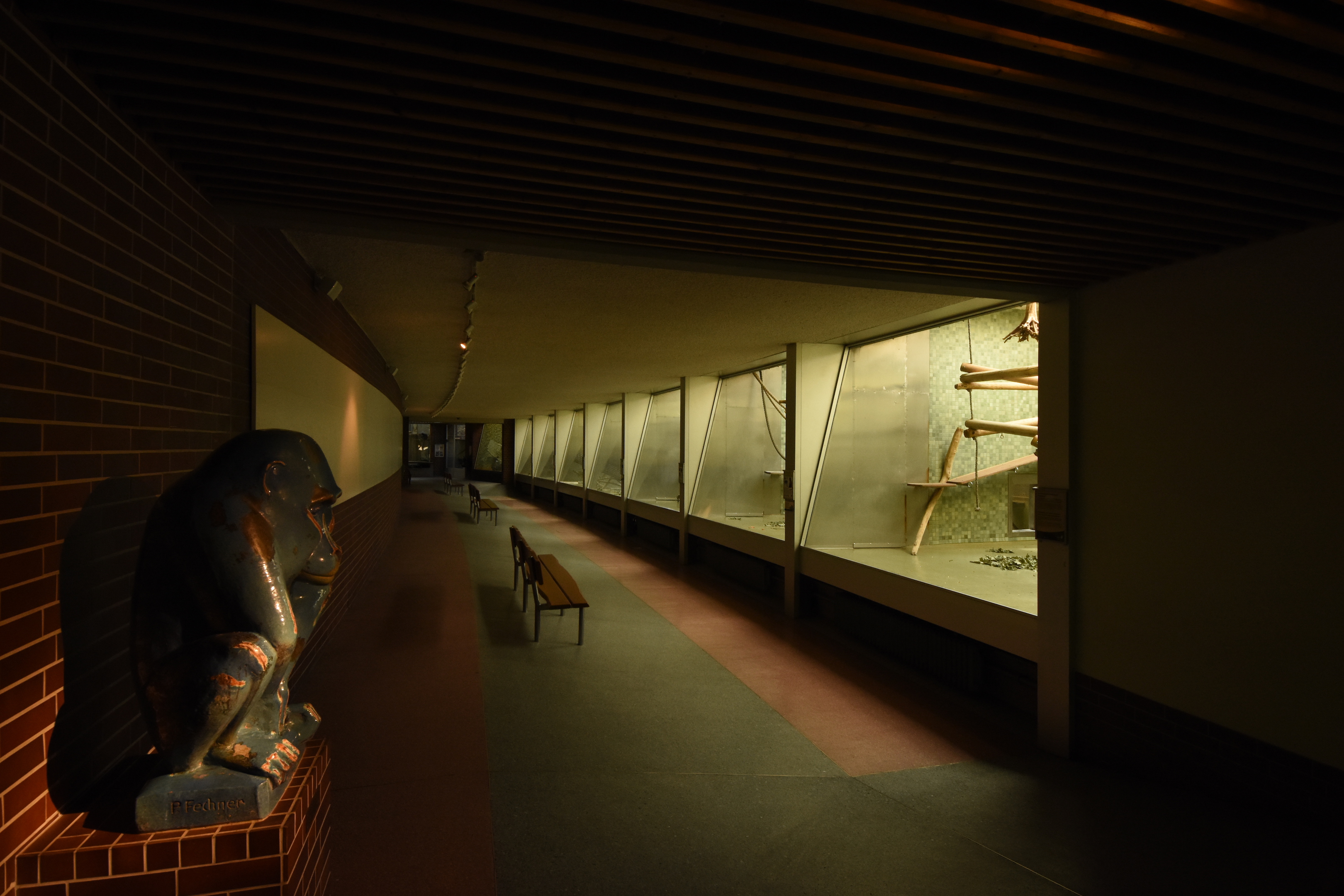 Monkey house - indoors